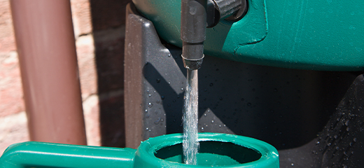 Rainwater harvesting