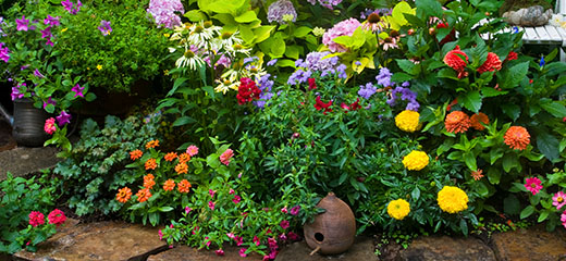 Sensory garden