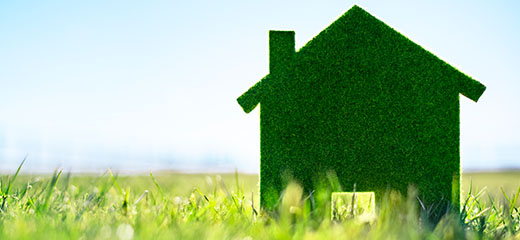 Green home upgrades