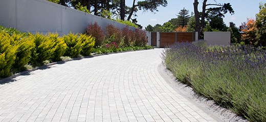 Winter Paving Maintenance