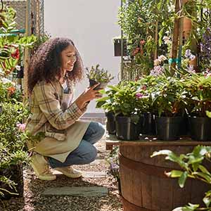 Small space gardening