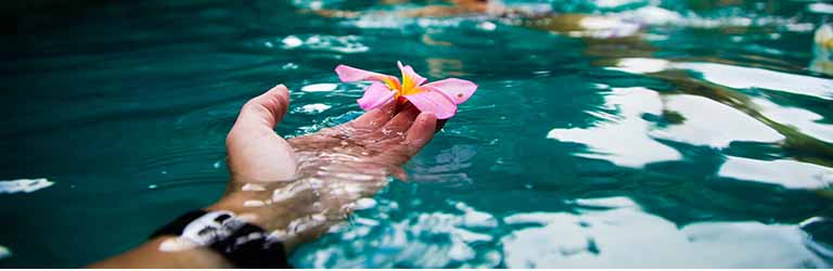 Benefits of a natural pool